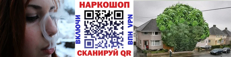 Где купить Волосово ГАШ АМФ КОКАИН Мефедрон Канабис Альфа ПВП