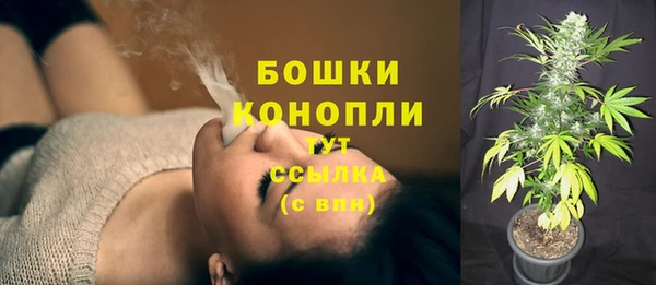 ГАЛЛЮЦИНОГЕННЫЕ ГРИБЫ Богданович