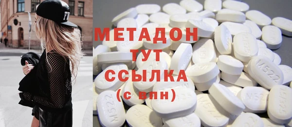 ГАЛЛЮЦИНОГЕННЫЕ ГРИБЫ Богданович