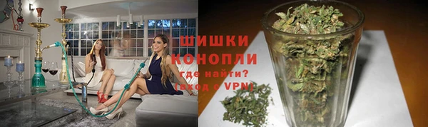 ГАЛЛЮЦИНОГЕННЫЕ ГРИБЫ Богданович