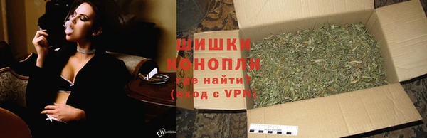 ГАЛЛЮЦИНОГЕННЫЕ ГРИБЫ Богданович