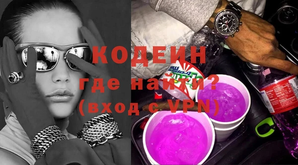 ГАЛЛЮЦИНОГЕННЫЕ ГРИБЫ Богданович