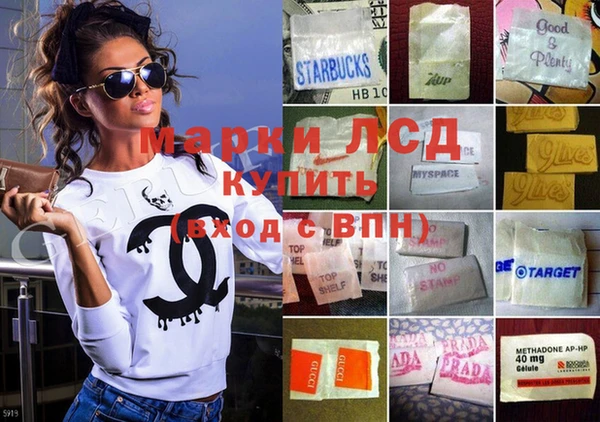 ГАЛЛЮЦИНОГЕННЫЕ ГРИБЫ Богданович