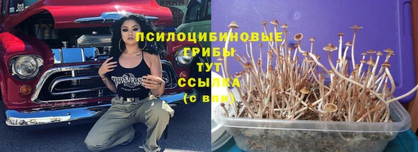 кокаин перу Богородицк