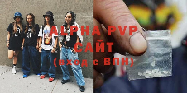 ГАЛЛЮЦИНОГЕННЫЕ ГРИБЫ Богданович