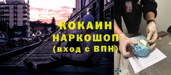 ГАЛЛЮЦИНОГЕННЫЕ ГРИБЫ Богданович