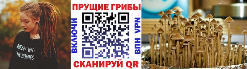 Галлюциногенные грибы ЛСД Волосово